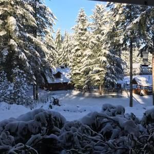 Meet your Posher, Bianca